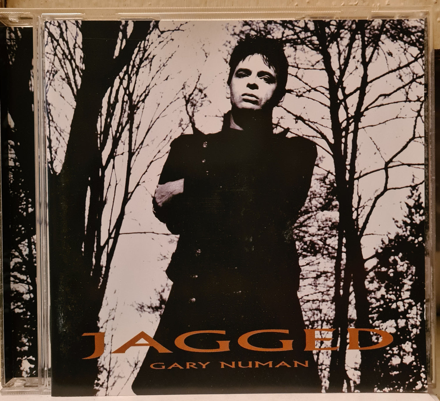 Gary Human ~ Jagged (CD)