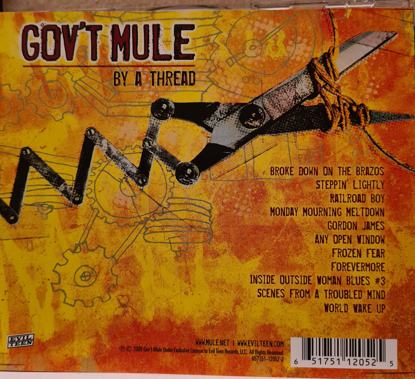 Gov't Mule ~ By A Thread (CD)