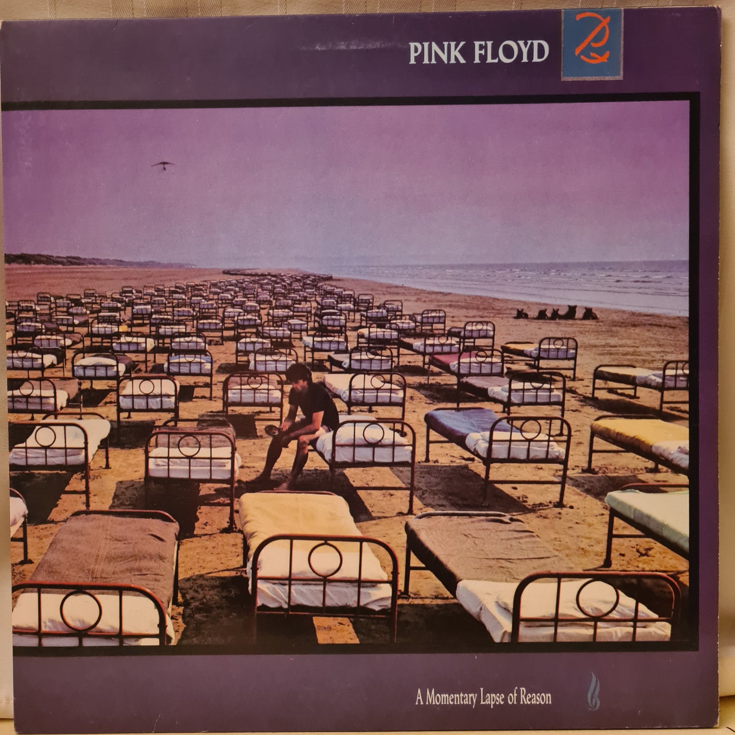 Pink Floyd ~ A Momentary Lapse of Reason (Vinyl - RSA