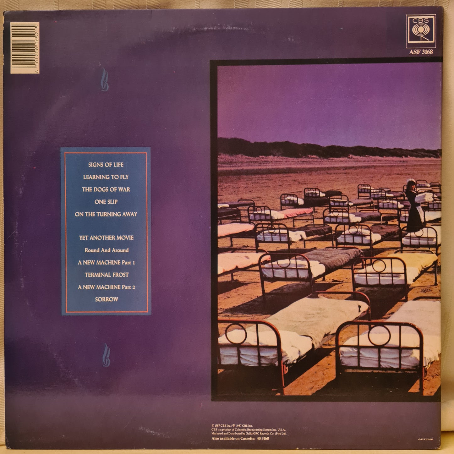 Pink Floyd ~ A Momentary Lapse of Reason (Vinyl - RSA